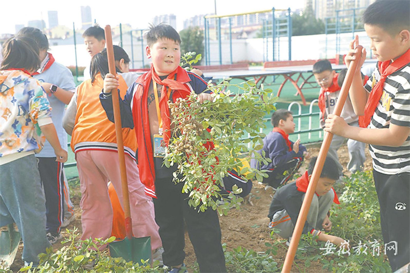 天长市农耕主题教育让劳动“走红”校园。（资料图片）.jpg
